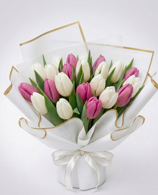 Bouquet of 20 Tulips White & Pink/Violet