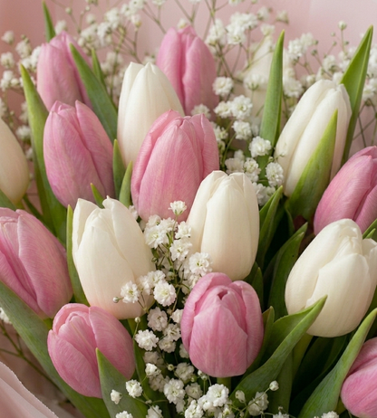 Soft Spring Bouquet of Tulips & Gypsophila
