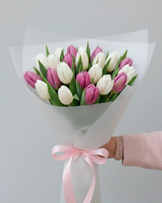 Bouquet of 20 Tulips White & Pink/Violet